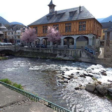 Appartement 2 A 4 Personnes Le Pyreneen A Arreau Carrefour Des Activites De Montagne 外观 照片