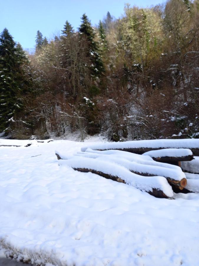 Appartement 2 A 4 Personnes Le Pyreneen A Arreau Carrefour Des Activites De Montagne 外观 照片