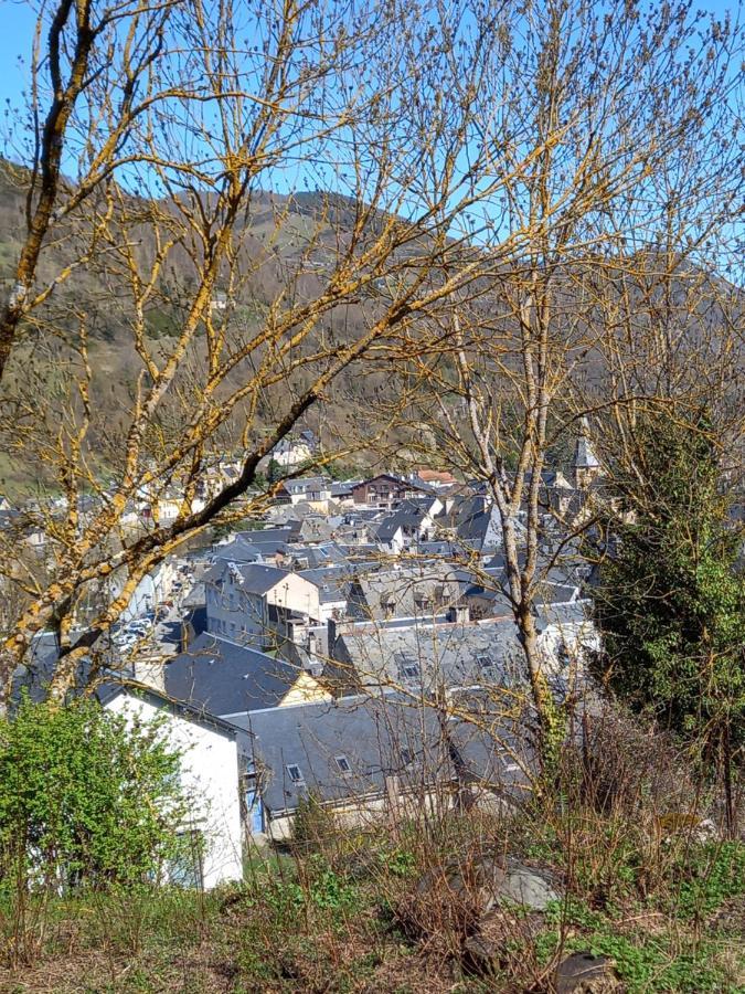 Appartement 2 A 4 Personnes Le Pyreneen A Arreau Carrefour Des Activites De Montagne 外观 照片